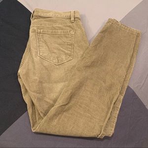 Ann Taylor LOFT Corduroy Pants